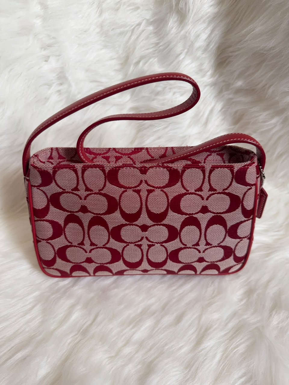 Coach Signature Demi Baguette