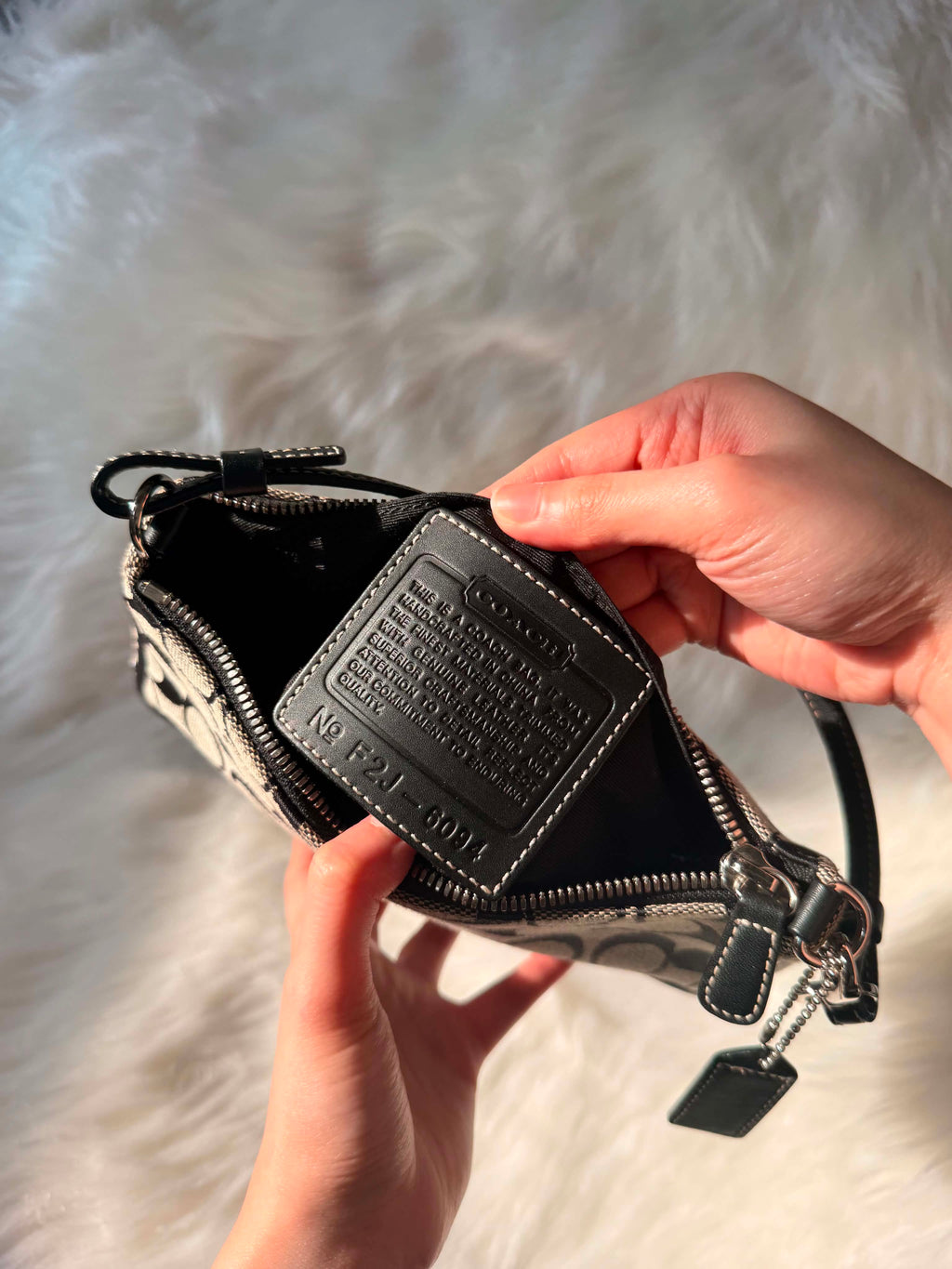 Coach Demi Mini Shoulder Bag