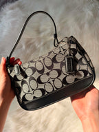 Coach Demi Mini Shoulder Bag